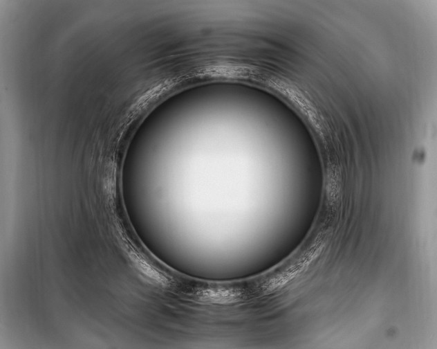 X0000100980445200806241547