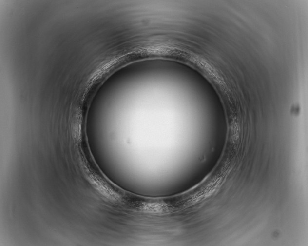 X0000100980446200806241547