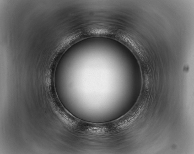 X0000100980447200806241547