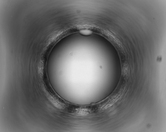 X0000100980448200806241547