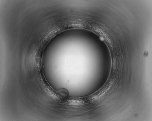 X0000100980449200806241547