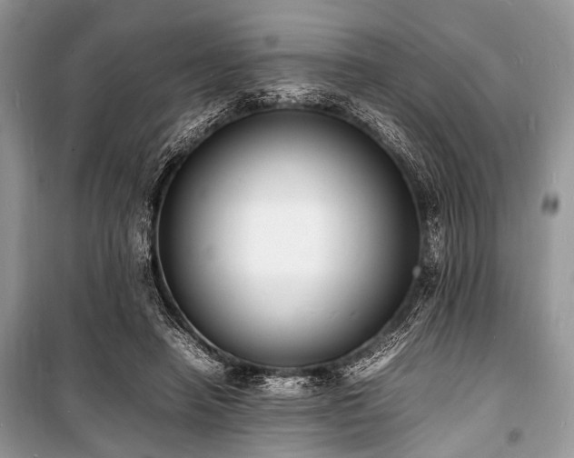 X0000100980450200806241547