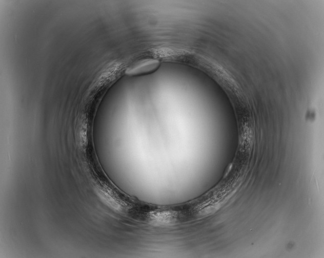 X0000100980452200806241547