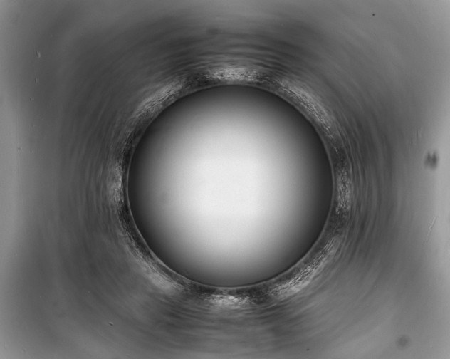 X0000100980453200806241547