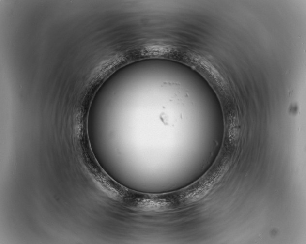 X0000100980455200806241547