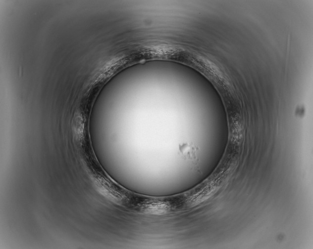 X0000100980456200806241547