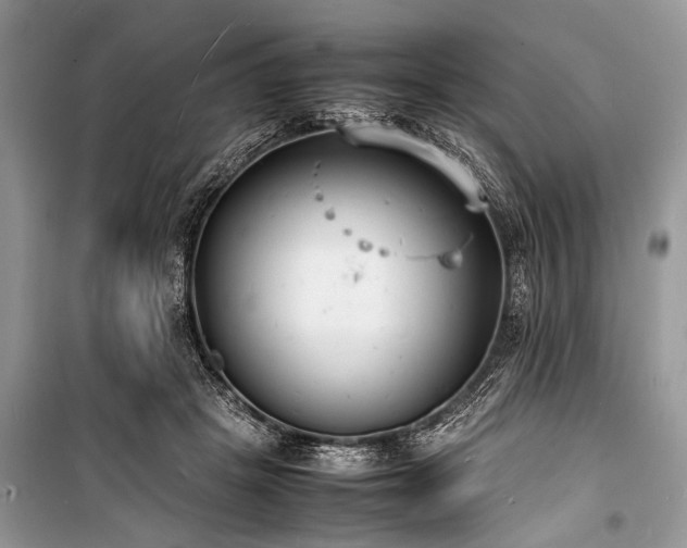 X0000100980457200806241547