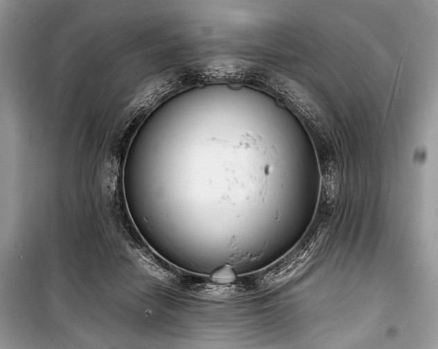 X0000100980458200806241547