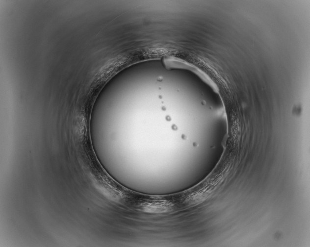 X0000100980459200806241547