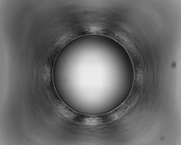 X0000100980461200806241547