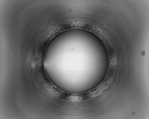 X0000100980464200806241547