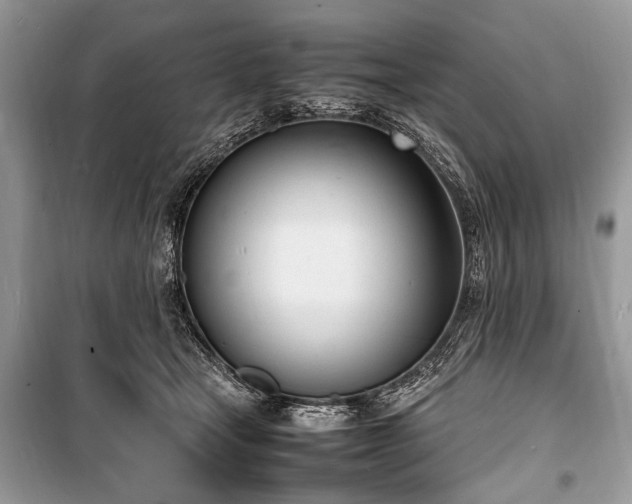 X0000100980465200806241547