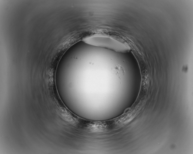 X0000100980466200806241547