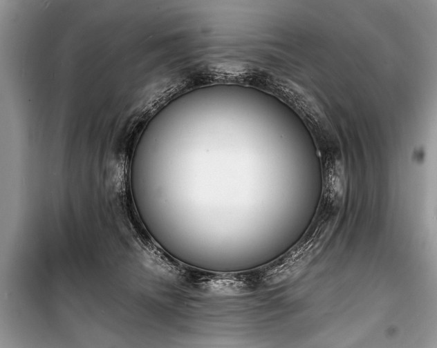 X0000100980468200806241547