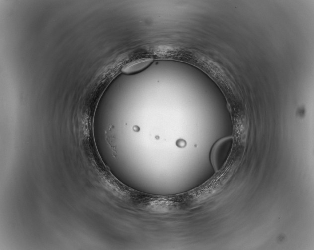 X0000100980470200806241547