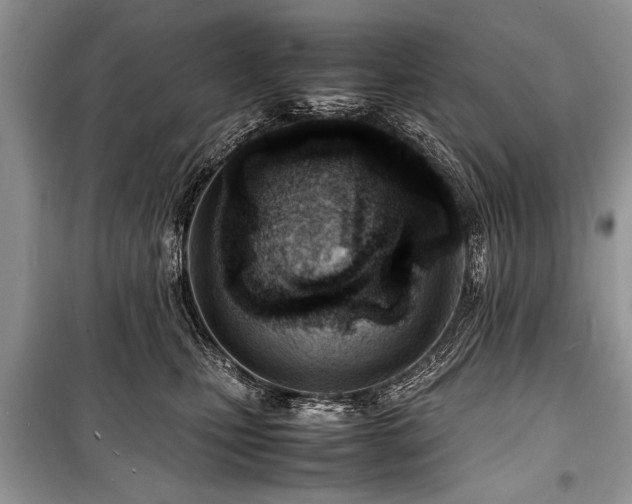 X0000100980471200806241547