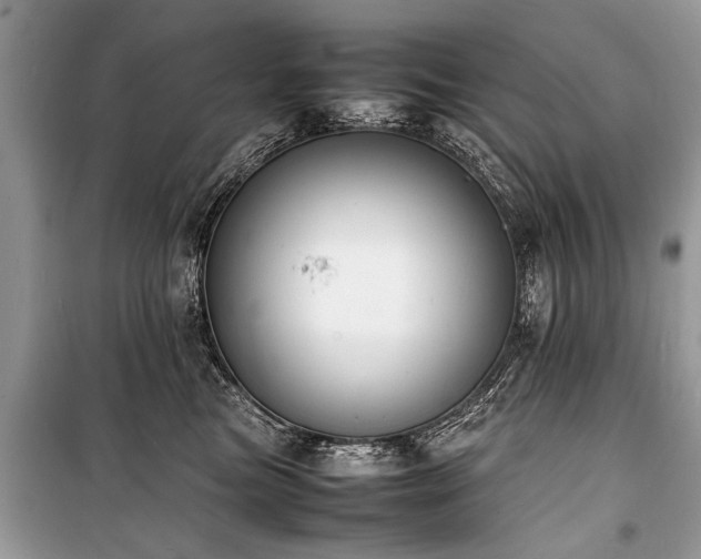 X0000100980473200806241547