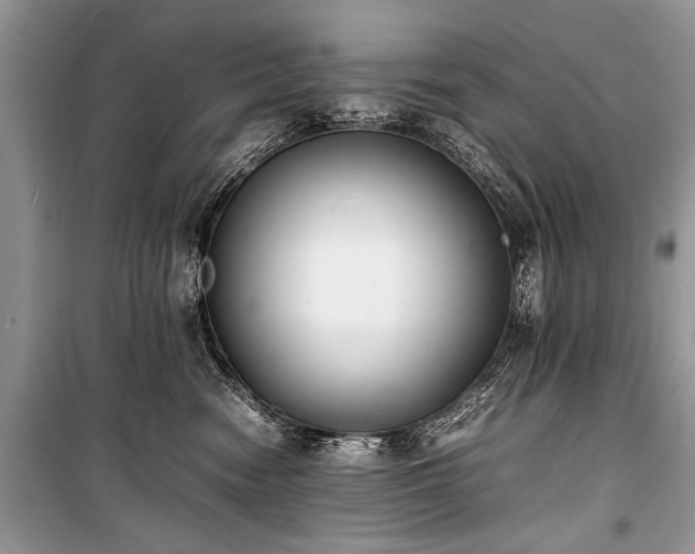 X0000100980474200806241547