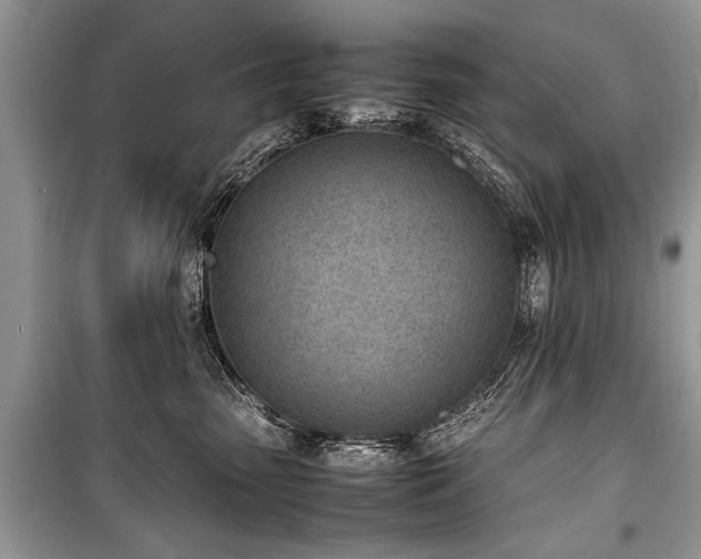 X0000100980475200806241547