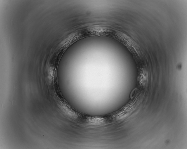 X0000100980476200806241547