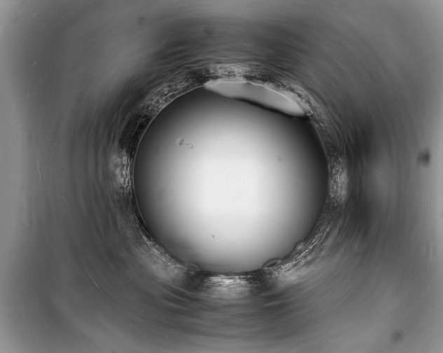 X0000100980477200806241547