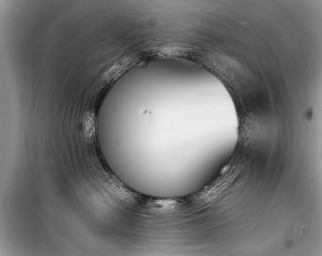 X0000100980478200806241547