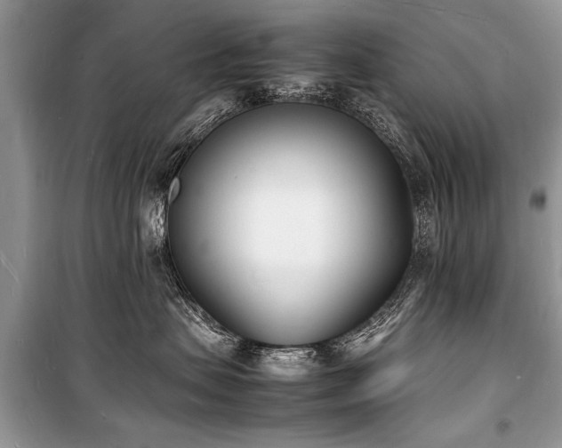 X0000100980479200806241547