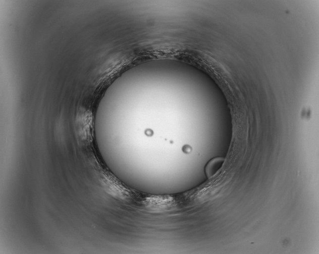 X0000100980480200806241547