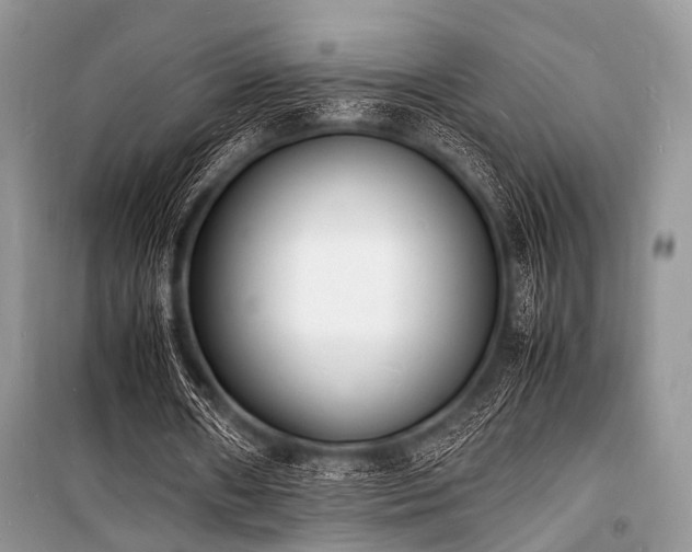 X0000100980482200806241547