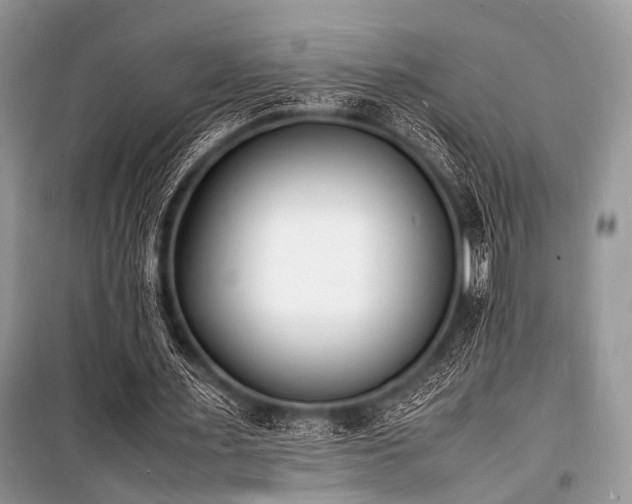 X0000100980483200806241547