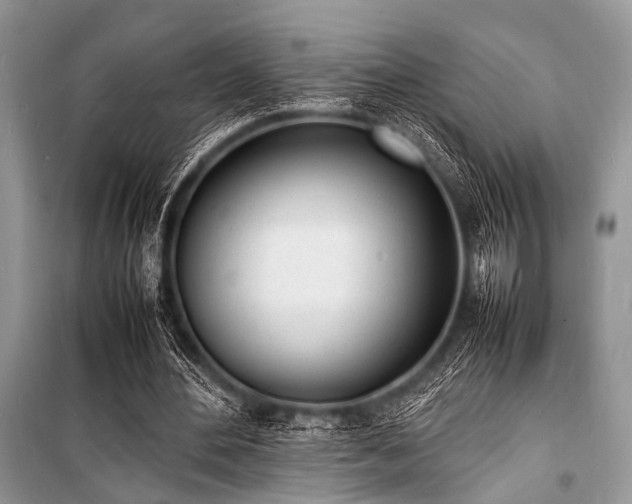 X0000100980484200806241547