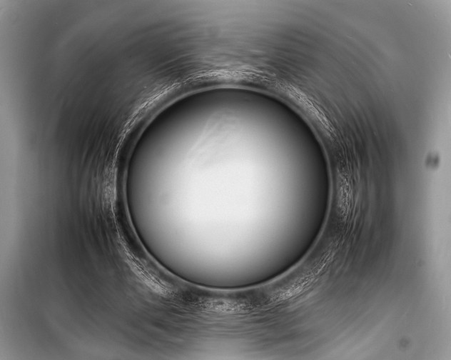 X0000100980486200806241547