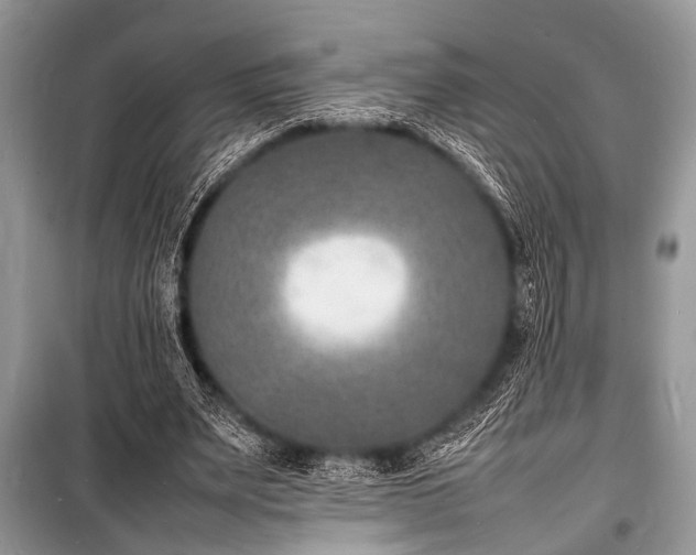 X0000100980487200806241547