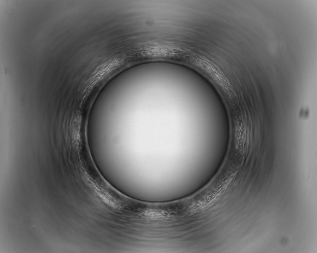 X0000100980490200806241547