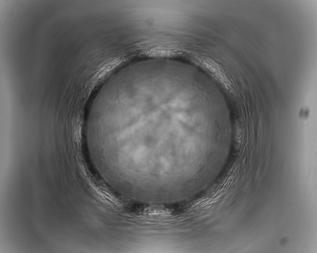 X0000100980491200806241547