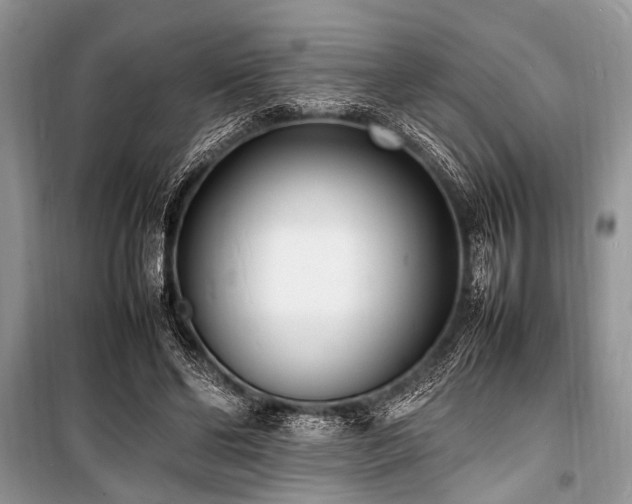 X0000100980494200806241547