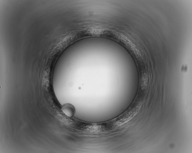 X0000100980497200806241547