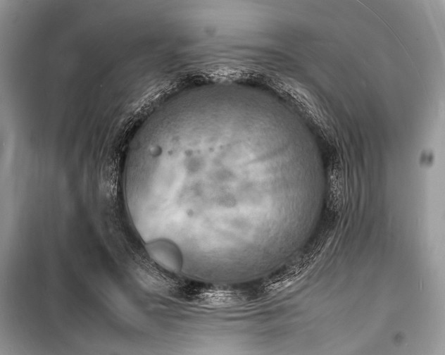 X0000100980499200806241546