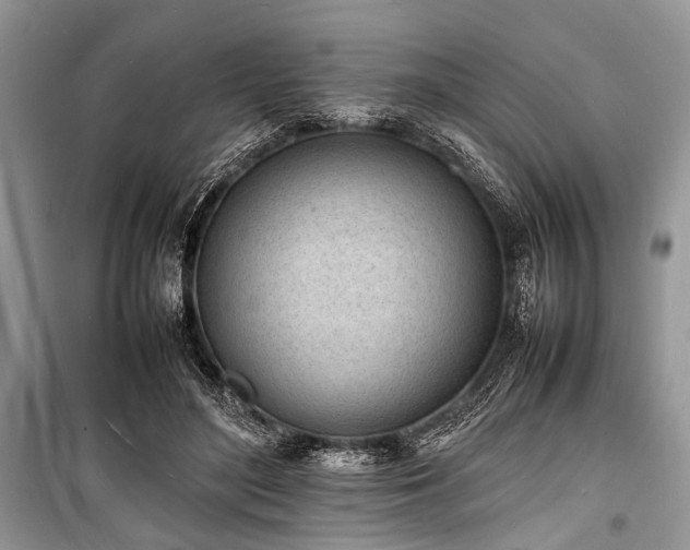 X0000100980500200806241546