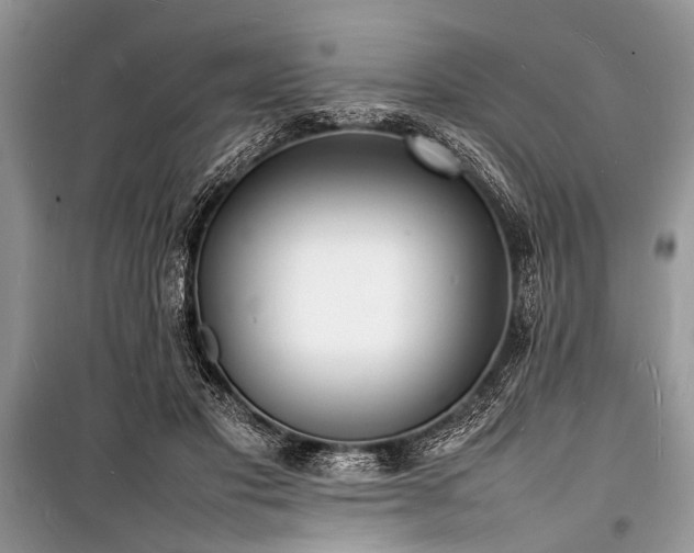 X0000100980501200806241546