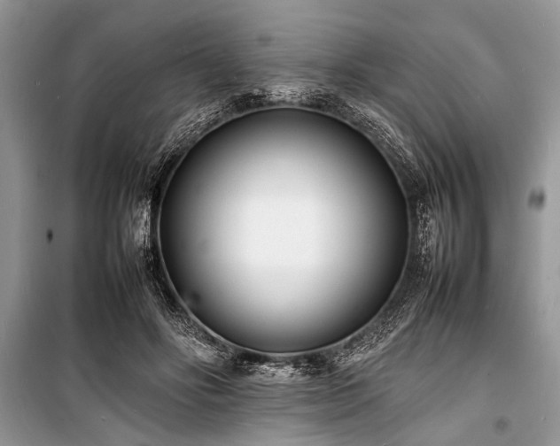 X0000100980502200806241546