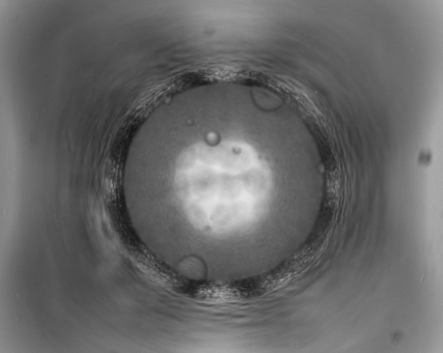 X0000100980503200806241546