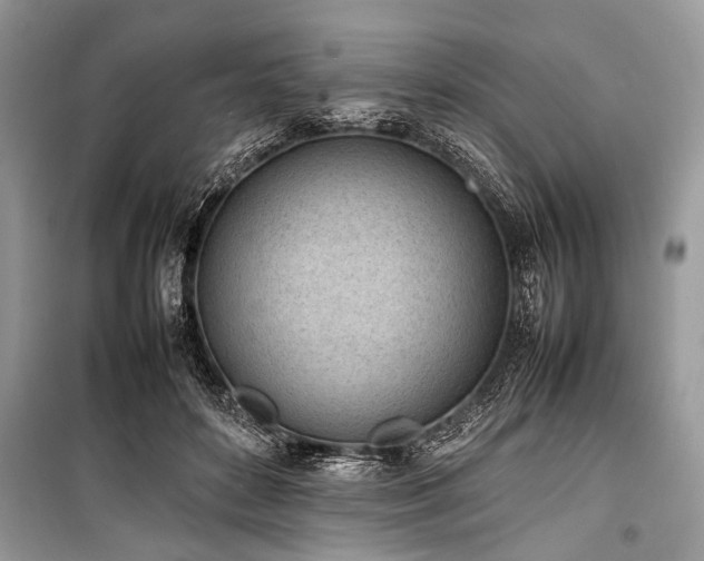 X0000100980504200806241546