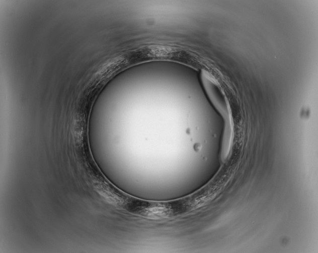 X0000100980505200806241546