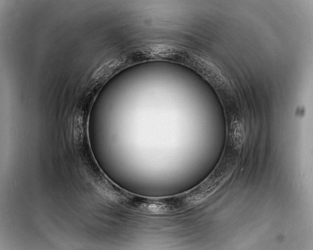 X0000100980506200806241546