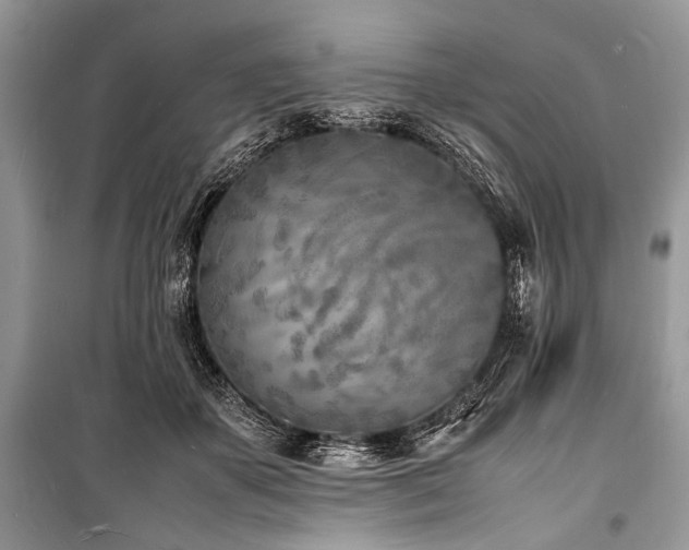 X0000100980507200806241546