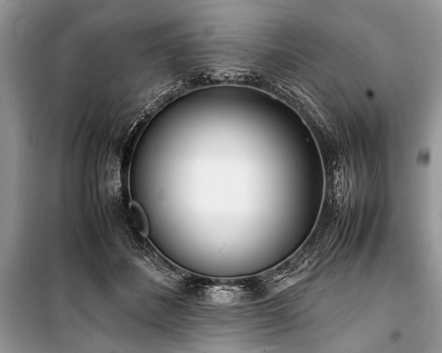 X0000100980508200806241546