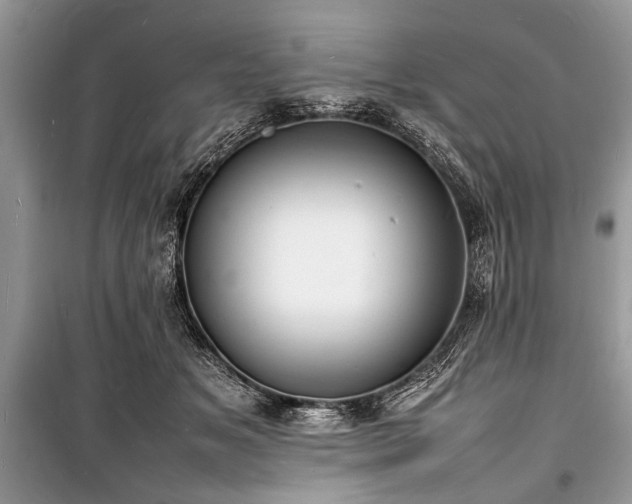 X0000100980509200806241546