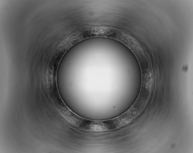 X0000100980510200806241546