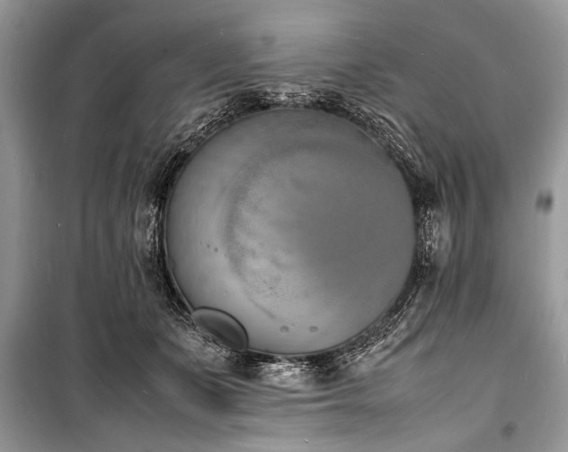 X0000100980511200806241546